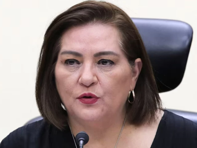 the head of the national electoral institute ine guadalupe taddei speaks during the general council session of the ine in mexico city the head of the national electoral institute ine guadalupe taddei speaks during the general council session of the ine in mexico city