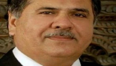 private sector inclusion urged in punjab panel