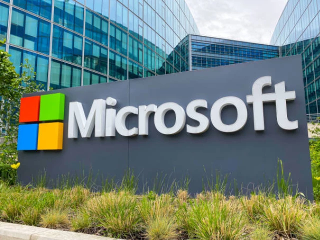 photo microsoft photo microsoft