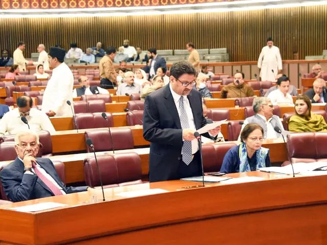 finance minister miftah ismail addressing the national assembly session in islamabad on wednesday june 29 2022 photo twitter naofpakistan