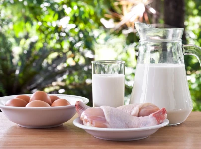 flood disruptions spark food shortages in twin cities flood disruptions spark food shortages in twin cities