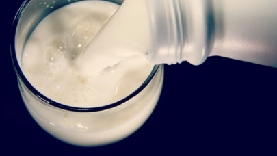 pakistan seeks dutch investment in dairy farming pakistan seeks dutch investment in dairy farming