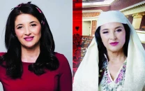 actor behind albania s ai minister wants her face back