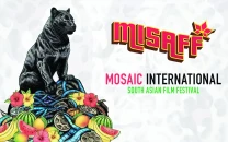 canadian film fest welcomes strong pakistani lineup canadian film fest welcomes strong pakistani lineup