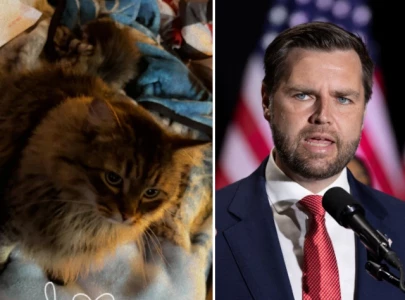 miss sassy pants found safe amid jd vance s claim she was stolen by haitian migrants miss sassy pants found safe amid jd vance s claim she was stolen by haitian migrants