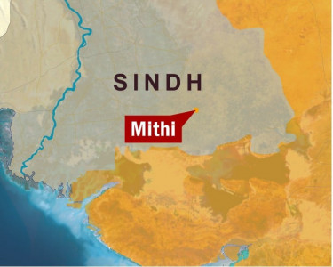 harsh lessons for tharparkar s smart girls without teachers