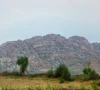 downpours transform the desert landscape downpours transform the desert landscape