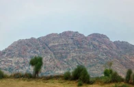 downpours transform the desert landscape downpours transform the desert landscape