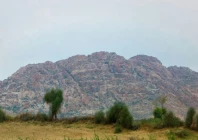 downpours transform the desert landscape