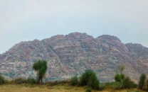 downpours transform the desert landscape downpours transform the desert landscape