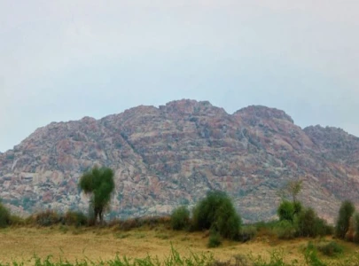 downpours transform the desert landscape downpours transform the desert landscape