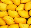 multan s mango gifting tradition in peril