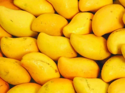 sweet softening of hearts sweet softening of hearts