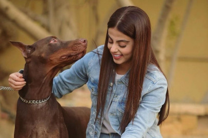 actors speak up for dogs sentenced to death due to handler s negligence