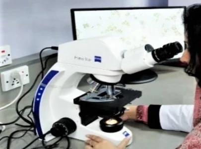 sindh opens high tech lab to fight crop diseases