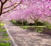 spring equinox 2025 what does its arrival mean spring equinox 2025 what does its arrival mean