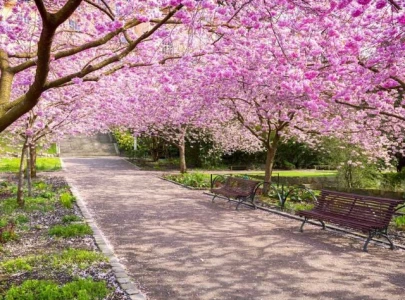 spring equinox 2025 what does its arrival mean