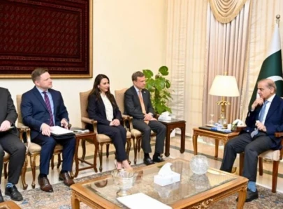 pm invites us firms to invest in pakistan s growing mineral sector