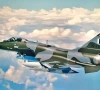 indian rafale jets retreat after detection by paf near loc