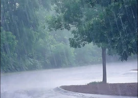 punjab braces for rain snowfall expected in north as western system enters punjab braces for rain snowfall expected in north as western system enters