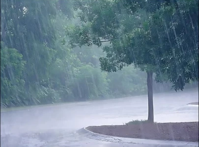 punjab braces for rain snowfall expected in north as western system enters punjab braces for rain snowfall expected in north as western system enters