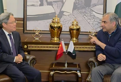 interior minister mohsin naqvi meets chinese ambassador jiang zaidong during a high level meeting at the ministry of interior on thursday photo app