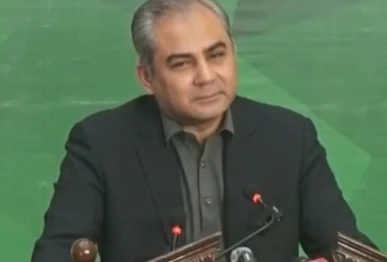 interior minister mohsin naqvi photo screengrab