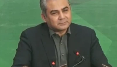 interior minister mohsin naqvi photo screengrab