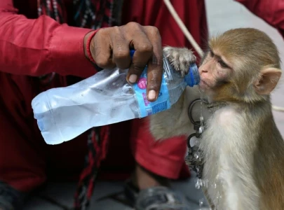 record heatwaves sweep the world from us to japan via europe