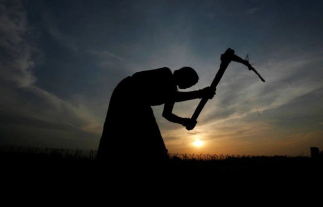 a farmer working in a paddy field is silhouetted against the setting sun on the outskirts of agartala capital of india s northeastern state of tripura august 9 2010 in 2009 photo reuters a farmer working in a paddy field is silhouetted against the setting sun on the outskirts of agartala capital of india s northeastern state of tripura august 9 2010 in 2009 photo reuters