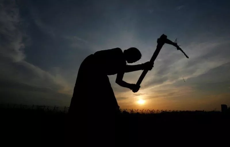 a farmer working in a paddy field is silhouetted against the setting sun on the outskirts of agartala capital of india s northeastern state of tripura august 9 2010 in 2009 photo reuters a farmer working in a paddy field is silhouetted against the setting sun on the outskirts of agartala capital of india s northeastern state of tripura august 9 2010 in 2009 photo reuters