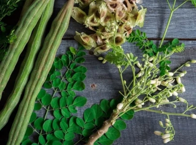 7 unusual superfoods that deserve a spot in your kitchen 7 unusual superfoods that deserve a spot in your kitchen
