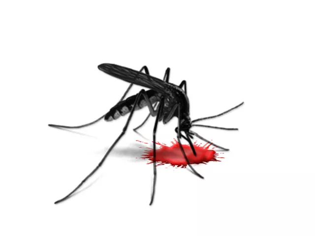resurgence of dengue in punjab resurgence of dengue in punjab