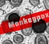 11 deaths 93 mpox cases reported in sindh