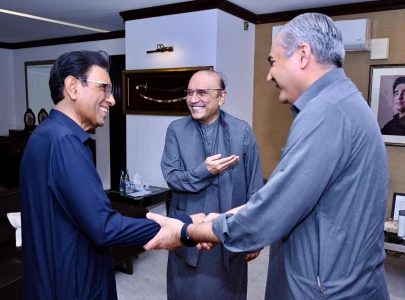 president zardari urges unity stronger peace efforts in meeting with khalid maqbool mohsin naqvi president zardari urges unity stronger peace efforts in meeting with khalid maqbool mohsin naqvi