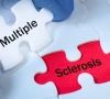 ms patients struggle for treatment ms patients struggle for treatment