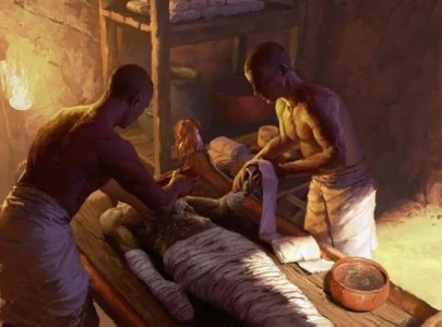surprising ancient egyptian mummy ingredients discovered