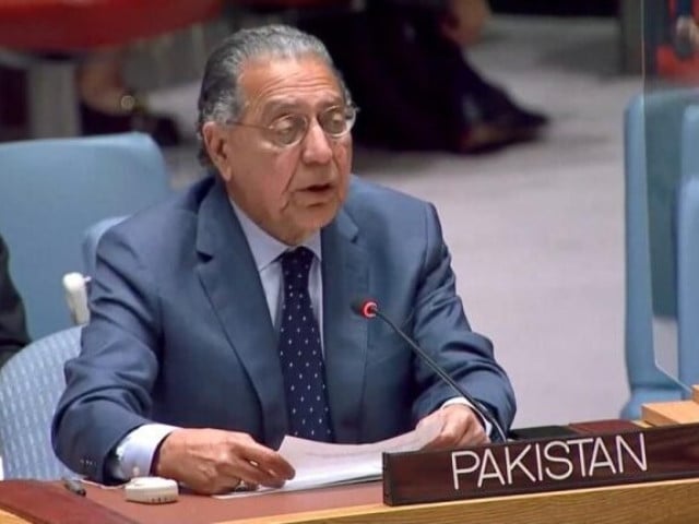 pakistan s ambassador munir akram