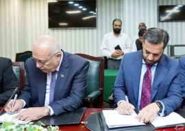 pakistan palestine to boost medical collaboration pakistan palestine to boost medical collaboration