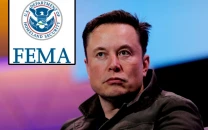 elon musk fema sent 59m to luxury hotels in nyc to house illegal migrants elon musk fema sent 59m to luxury hotels in nyc to house illegal migrants