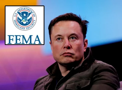 elon musk fema sent 59m to luxury hotels in nyc to house illegal migrants
