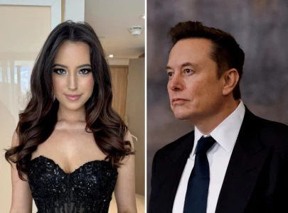alleged dms reveal ashley st clair plotted to trap elon musk into impregnating her