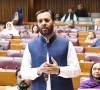 health minister mustafa kamal speaking in the senate photo facebook health minister mustafa kamal speaking in the senate photo facebook
