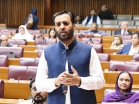 health minister mustafa kamal speaking in the senate photo facebook