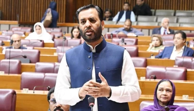 health minister mustafa kamal speaking in the senate photo facebook