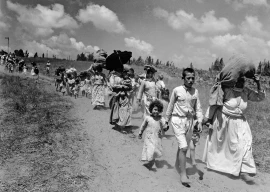 the betrayal of palestine