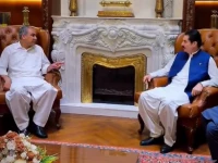 khyber pakhtunkhwa governor faisal karim kundi meets interior minister mohsin naqvi at governor house in peshawar on sunday screengrab