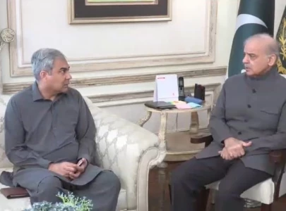 naqvi informs pm of work permits deal visa waivers for pakistanis after european talks naqvi informs pm of work permits deal visa waivers for pakistanis after european talks