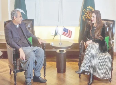 naqvi discusses cooperation with acting us envoy