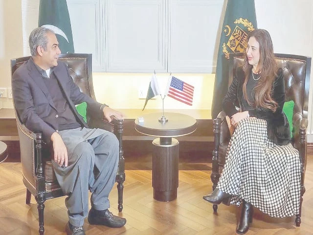 interior minister mohsin naqvi holds a meeting with acting us ambassador natalie baker in islamabad photo inp interior minister mohsin naqvi holds a meeting with acting us ambassador natalie baker in islamabad photo inp
